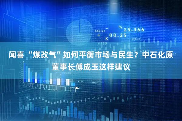 闻喜 “煤改气”如何平衡市场与民生？中石化原董事长傅成玉这样建议