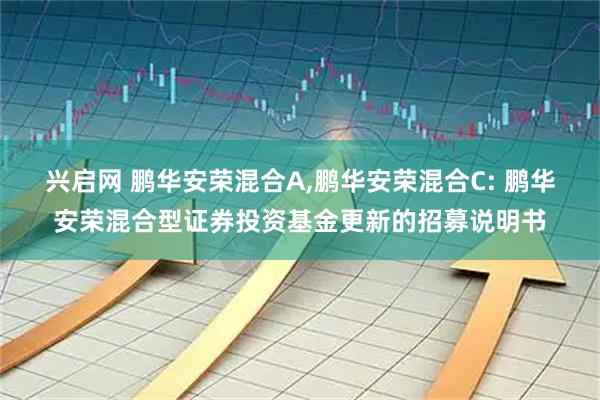 兴启网 鹏华安荣混合A,鹏华安荣混合C: 鹏华安荣混合型证券投资基金更新的招募说明书