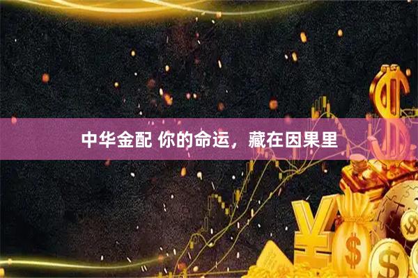 中华金配 你的命运，藏在因果里