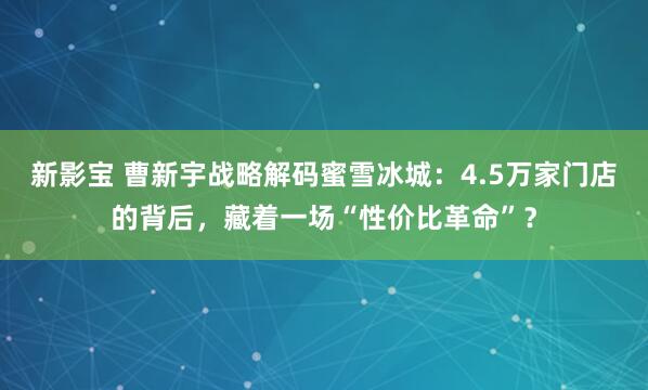 新影宝 曹新宇战略解码蜜雪冰城：4.5万家门店的背后，藏着一场“性价比革命”？
