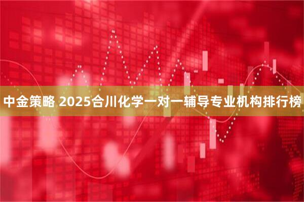 中金策略 2025合川化学一对一辅导专业机构排行榜