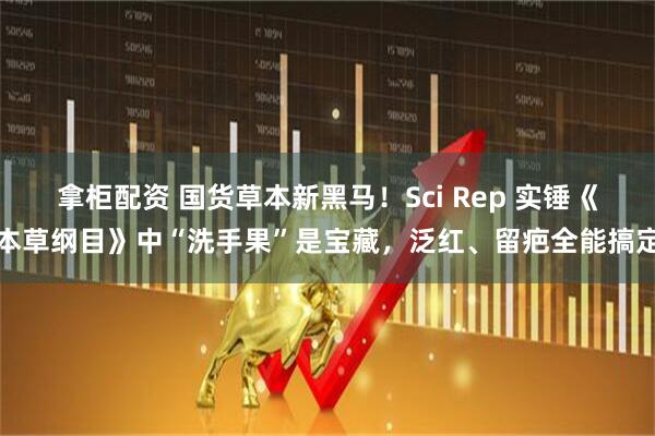 拿柜配资 国货草本新黑马！Sci Rep 实锤《本草纲目》中“洗手果”是宝藏，泛红、留疤全能搞定